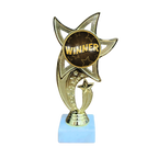All Star Award - WTS-01