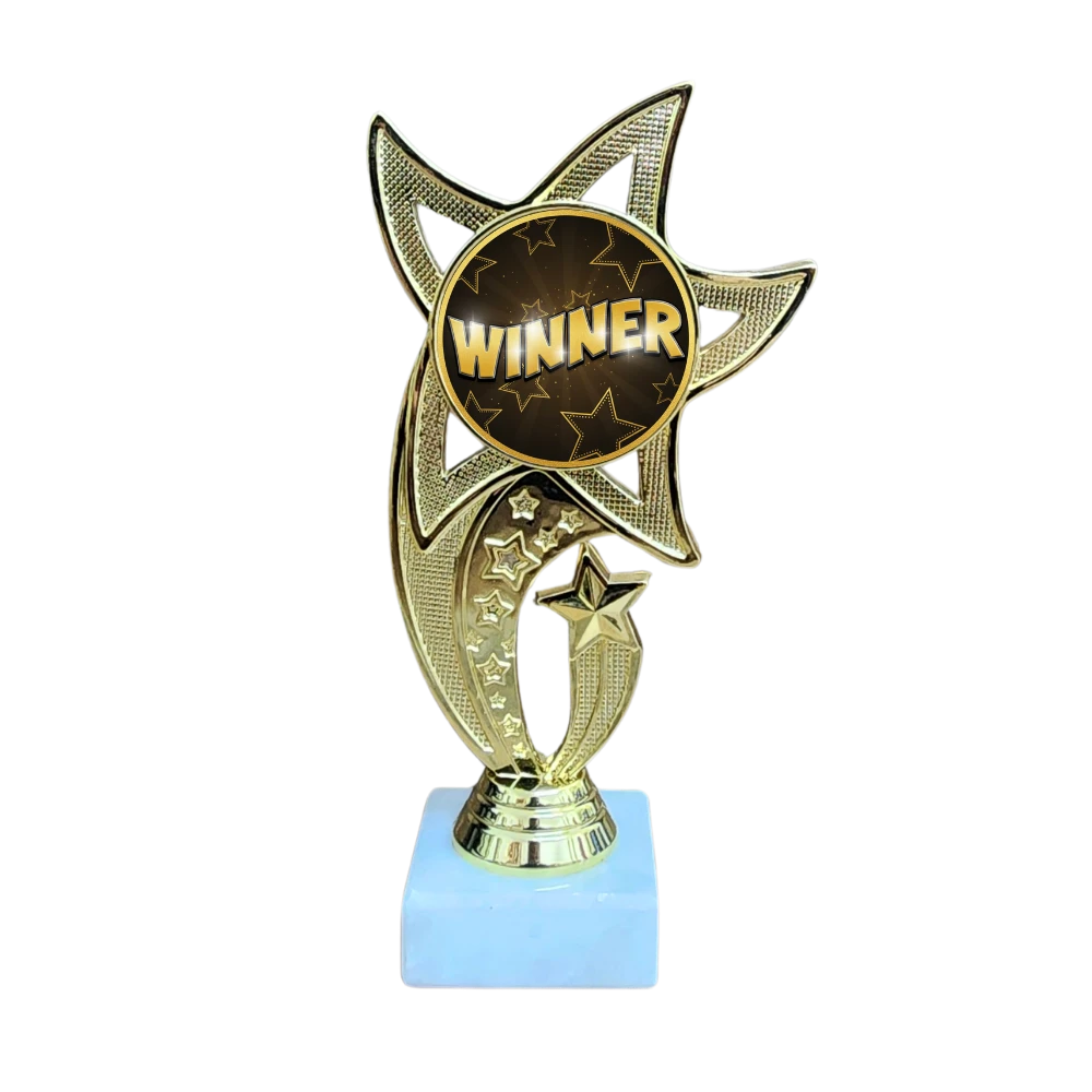 All Star Award - WTS-01