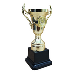 Flame Insert Trophy Cup - AS520