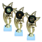 All Star Award - WTS-01