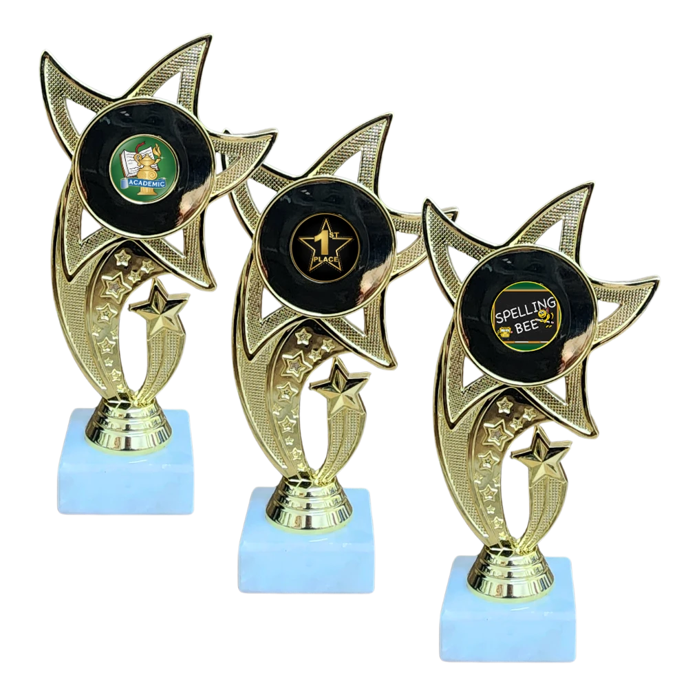 All Star Award - WTS-01