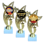 All Star Award - WTS-01