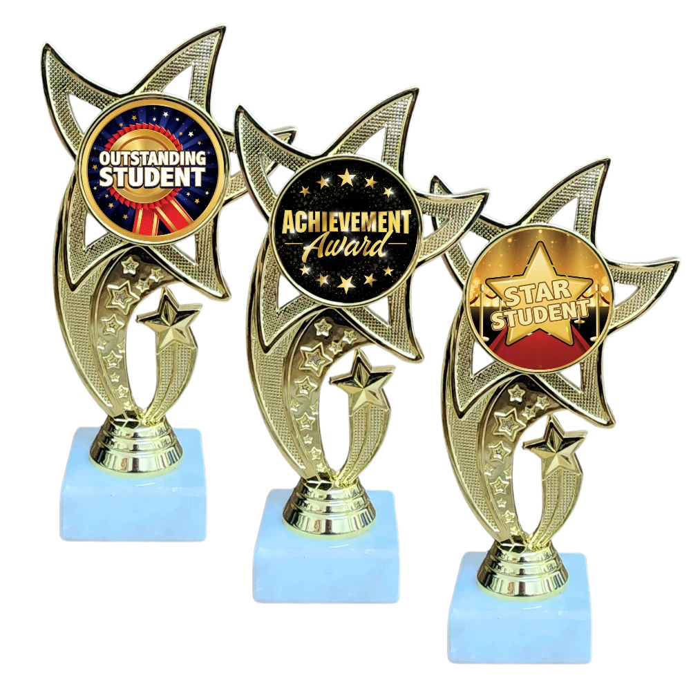 All Star Award - WTS-01
