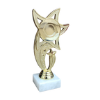 All Star Award - WTS-01