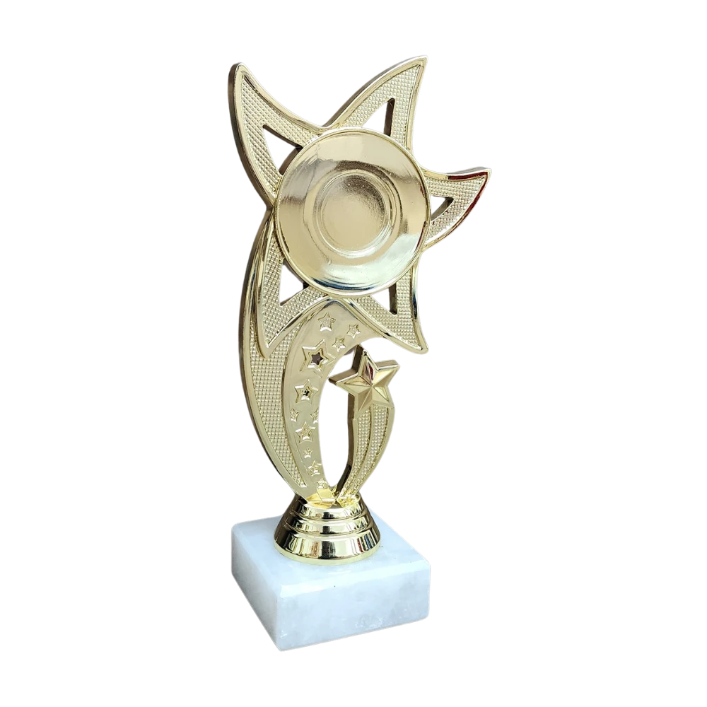 All Star Award - WTS-01