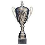 Silver Swirl Metal Cup - CU0020