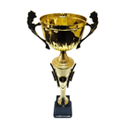 Olympic Victory Metal Cup