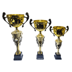 Olympic Victory Metal Cup