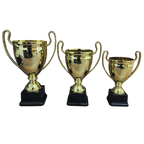 Open Chaplet Trophy Cup