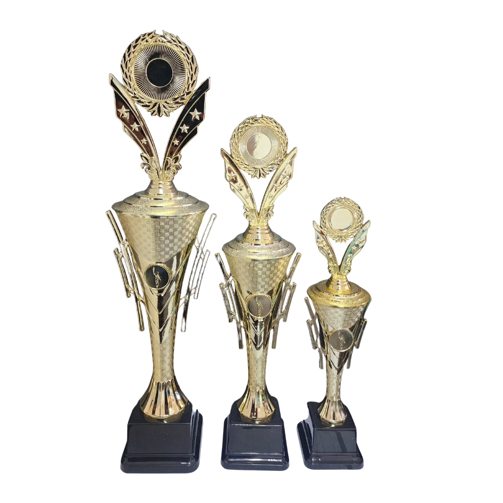 Olympic Star Trophy Cup – Woolf's Trophies And Engravers
