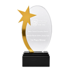 Oval Star Acrylic Award