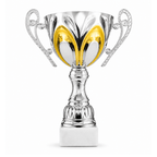 Silver/Gold Classic Trophy Cup - CC27G