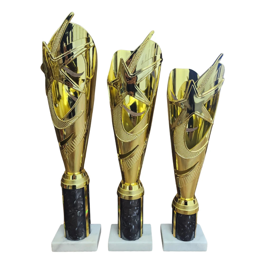 Dazzling Star Column Trophy - DSC01