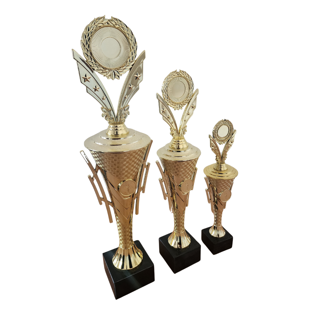 Olympic Star Trophy Cup – Woolf's Trophies And Engravers