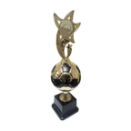 Premier Football Star Trophy