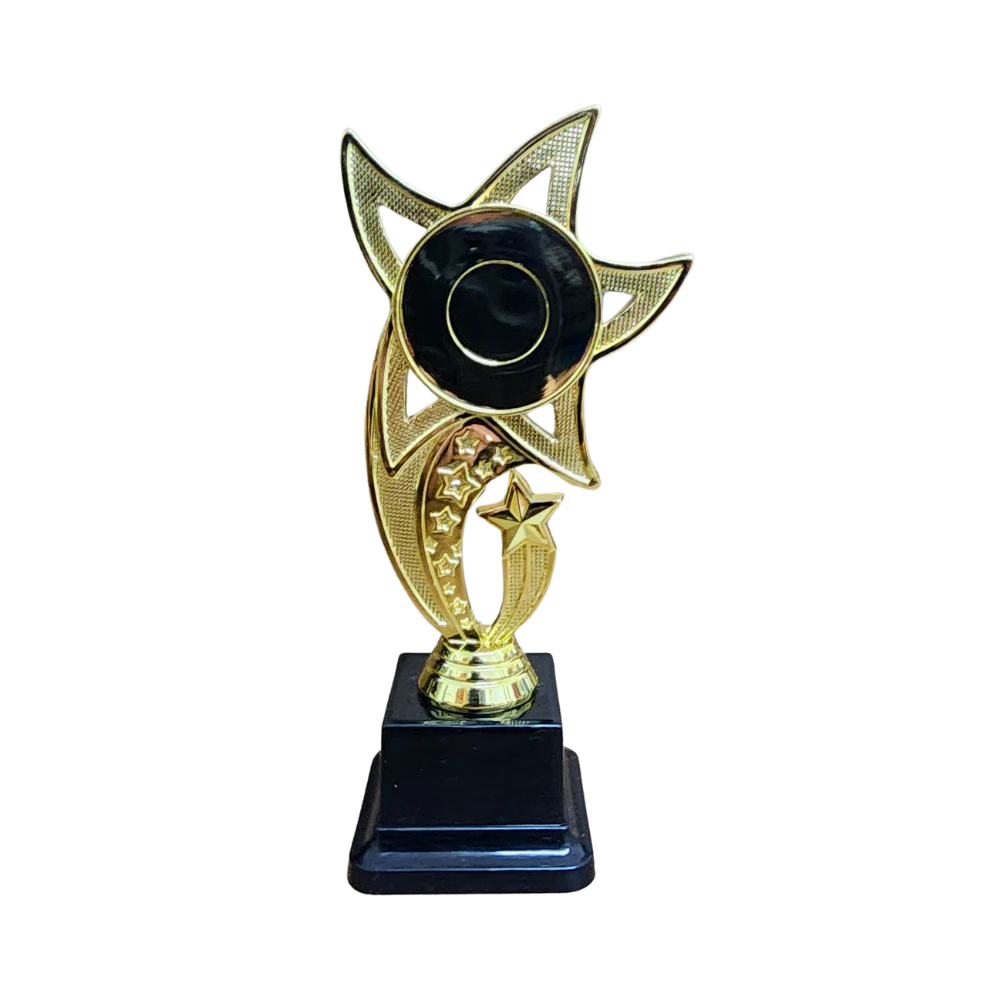 All Star Award - WTS-01