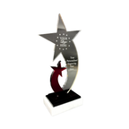Shooting Star Acrylic Award