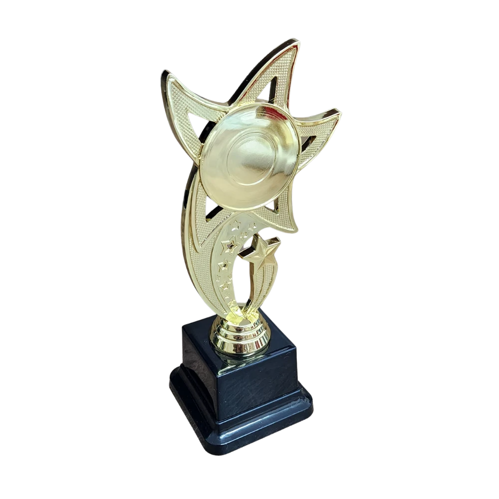 All Star Award - WTS-01