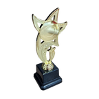 All Star Award - WTS-01