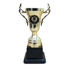 Flame Insert Trophy Cup - AS520