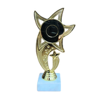 All Star Award - WTS-01