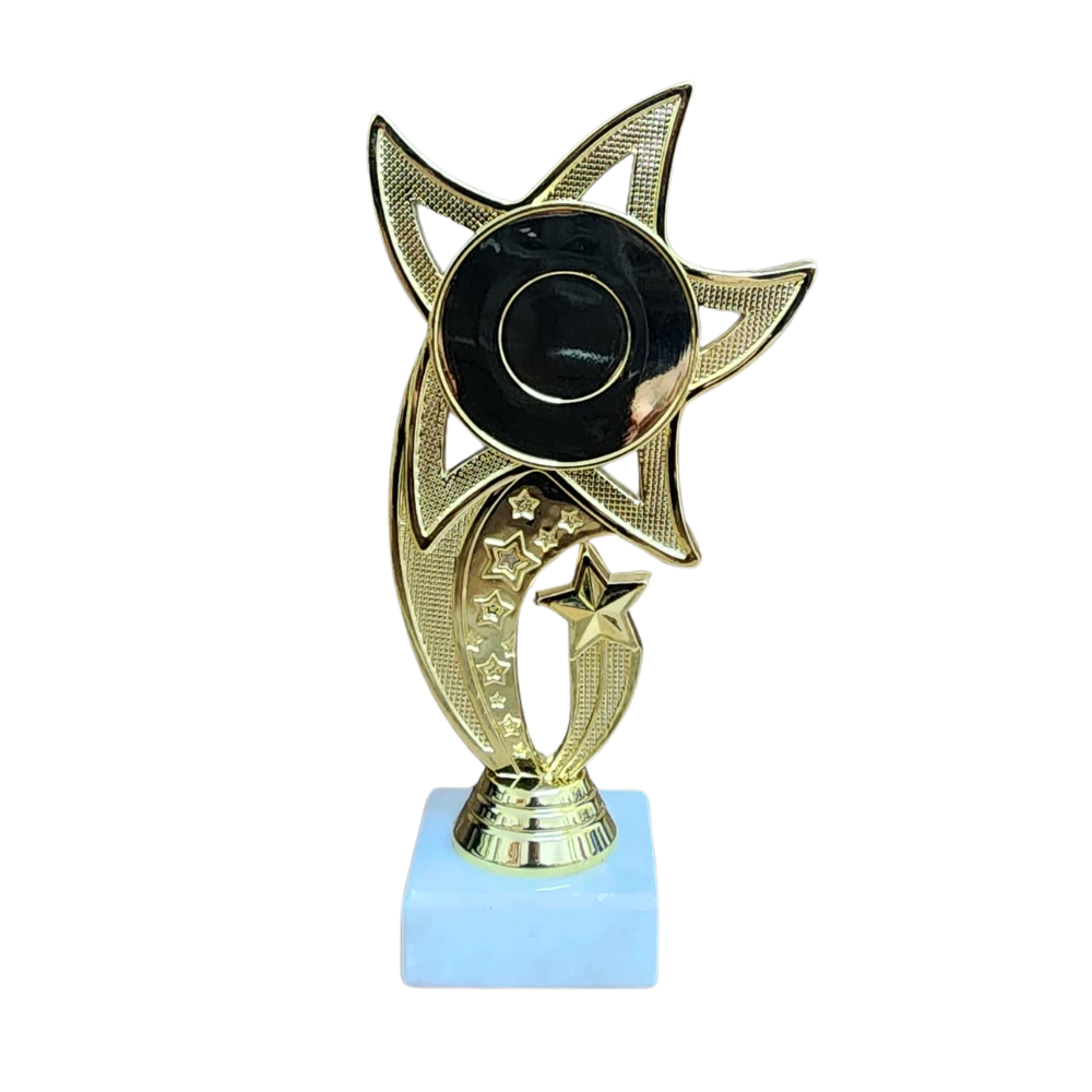 All Star Award - WTS-01