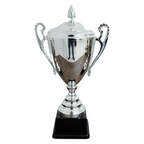 Silver Champion Metal Trophy Cup - NC001