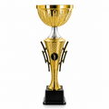 Gold Triumph Bowl Cup