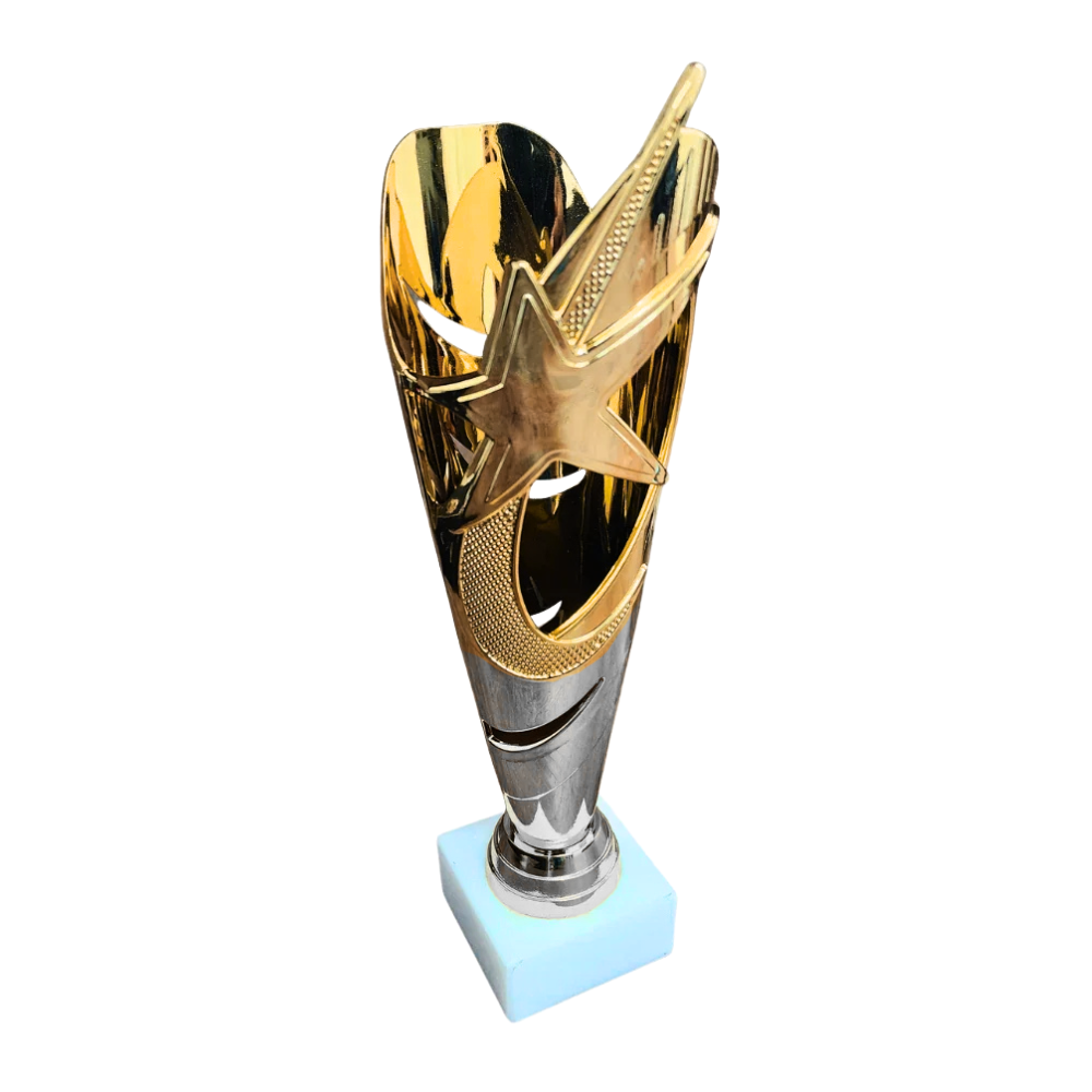 Gold/Silver Dazzling Star Trophy Cup