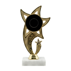 Star Award - WTS-01