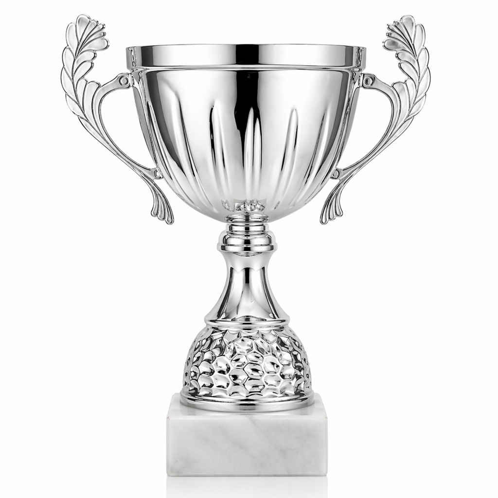 Silver trophy cup with decorative handles on a white background