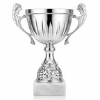 Silver trophy cup with decorative handles on a white background