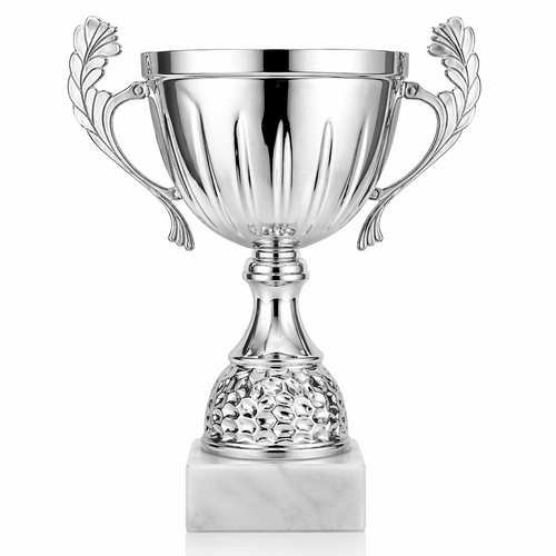 Silver trophy cup with decorative handles on a white background