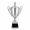 Silver Champion Metal Trophy Cup - NC001